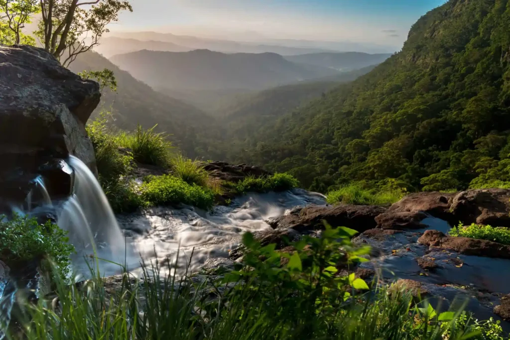 Gold Coast Hinterland