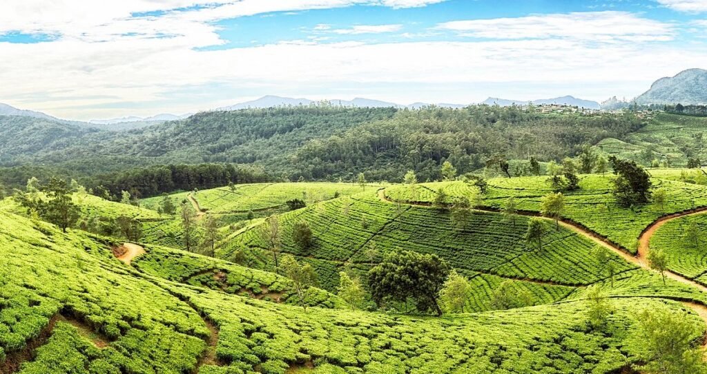 Negara