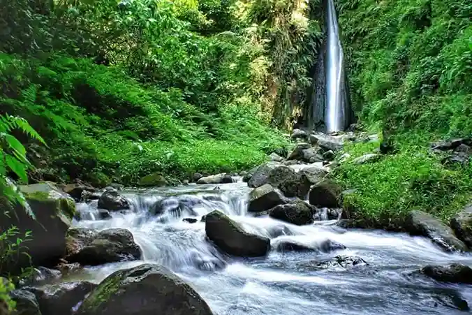 Ujung Kulon