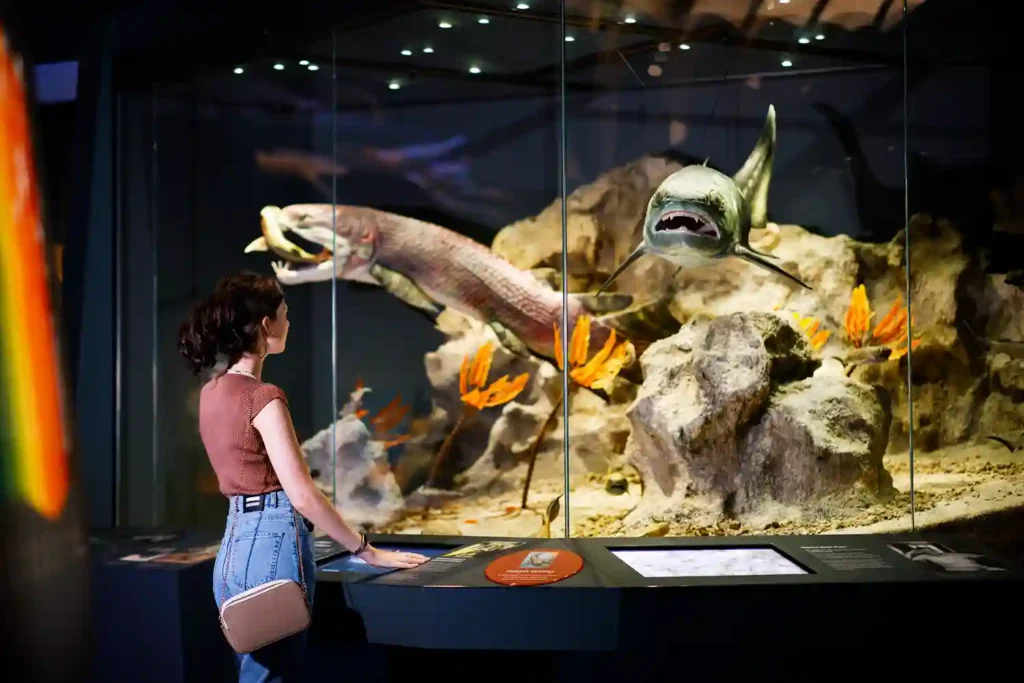 Museum di Australia