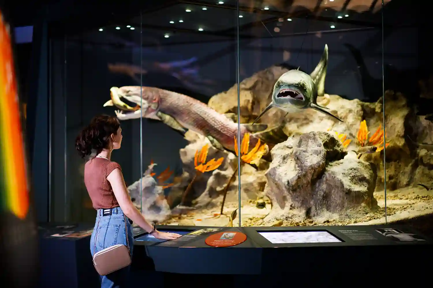 Museum di Australia
