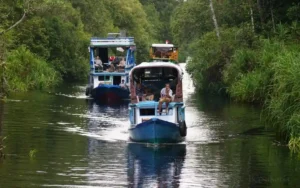 Rekomendasi Wisata di Kalimantan