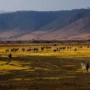 Petualangan di Gurun Sahara, Taman Nasional Serengeti, dan Gunung Kilimanjaro