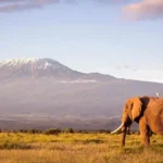 Gunung Kilimanjaro Tanzania, Tantangan bagi Pecinta Pendakian Dunia