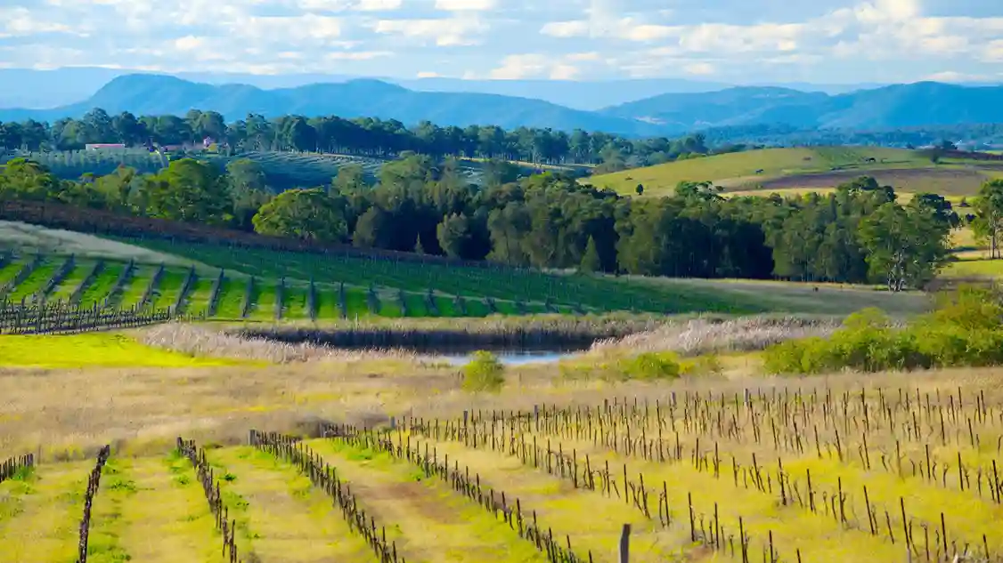 Hunter Valley 2025 Wisata Anggur Terkenal Australia