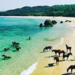Pantai Nihiwatu Sumba Wisata Mewah Terkenal Indonesia 2025