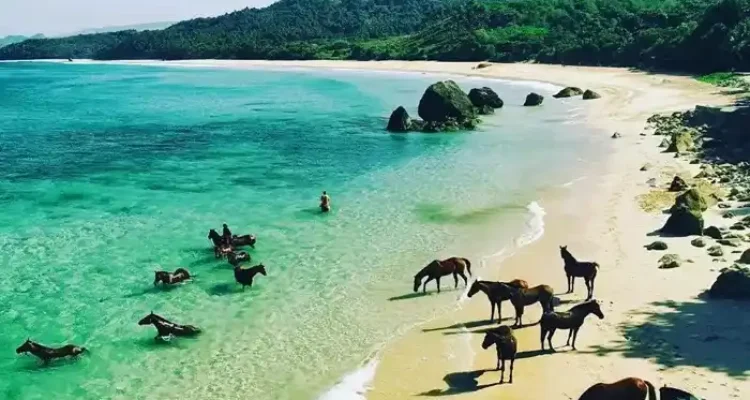 Pantai Nihiwatu Sumba Wisata Mewah Terkenal Indonesia 2025