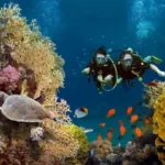 Wisata Laut Bunaken, Keindahan Laut Jernih yang Selalu Jadi Favorit