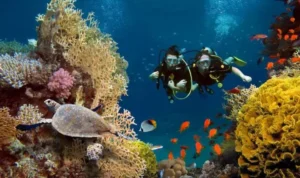 Wisata Laut Bunaken, Keindahan Laut Jernih yang Selalu Jadi Favorit