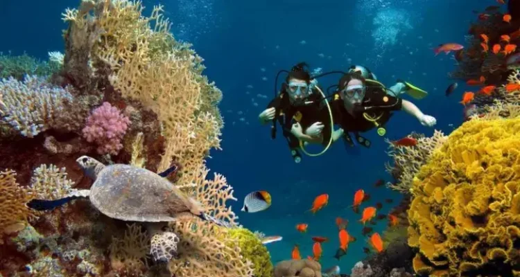 Wisata Laut Bunaken, Keindahan Laut Jernih yang Selalu Jadi Favorit