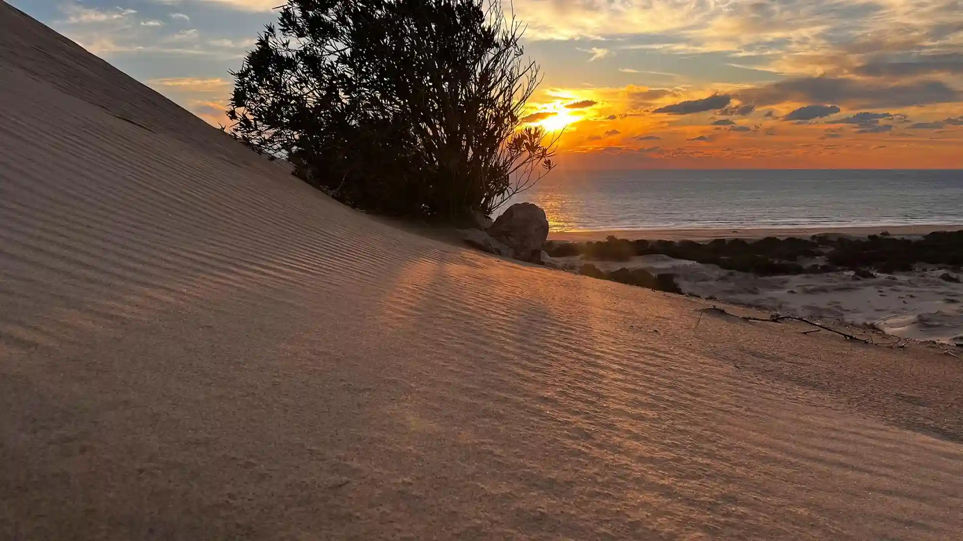 Patara Beach Antalya, Pantai Panjang Eksotis di Turki Selatan yang Memikat Dunia