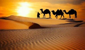Sunset Cantik di Maranjab Desert, Dune Adventures 2026 yang Bikin Tak Ingin Pulang