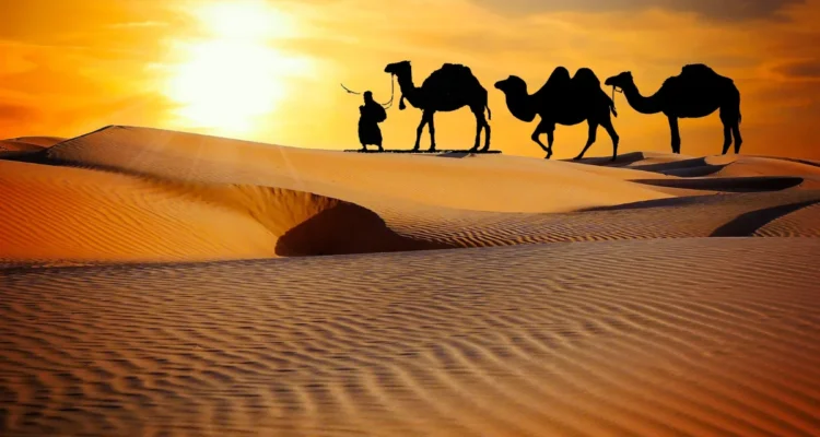 Sunset Cantik di Maranjab Desert, Dune Adventures 2026 yang Bikin Tak Ingin Pulang