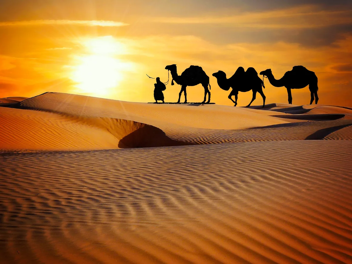Sunset Cantik di Maranjab Desert, Dune Adventures 2026 yang Bikin Tak Ingin Pulang