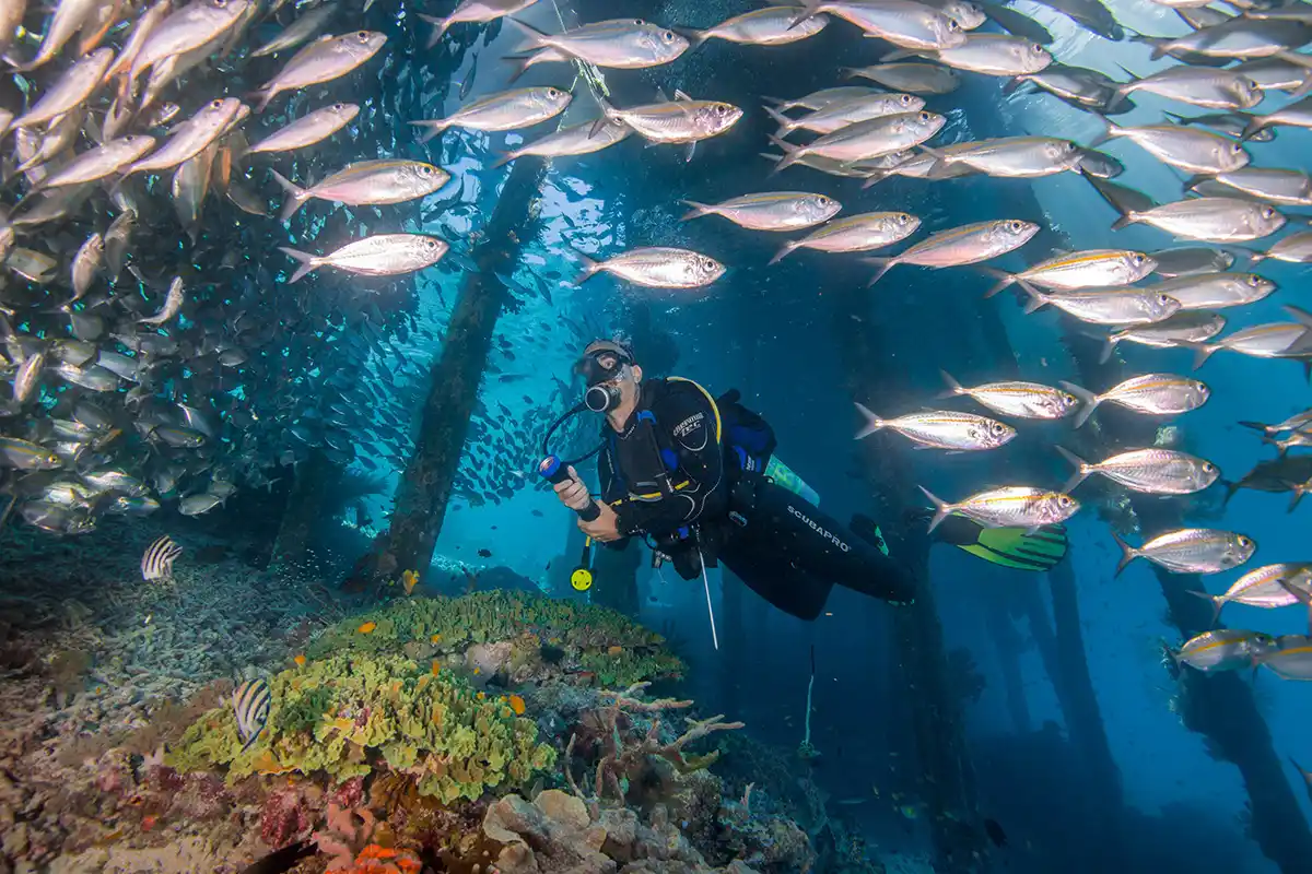 Dampier Strait, Spot Diving Dunia yang Tetap Membuat Raja Ampat Sulit Ditandingi