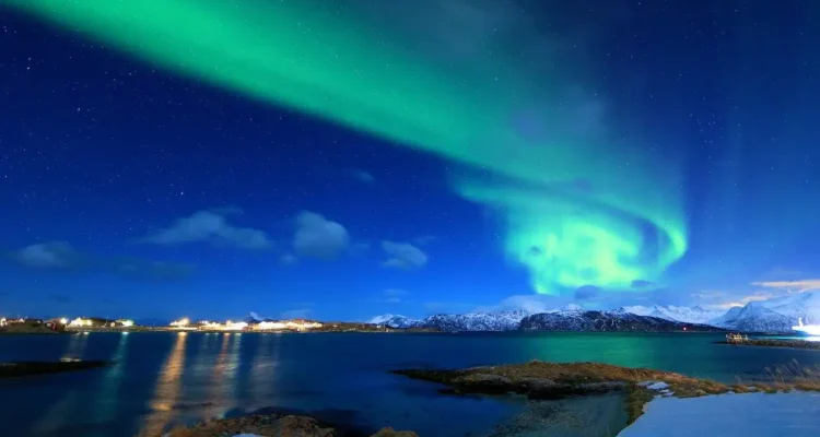 Dovrefjell, Surga Alam Norwegia untuk Pecinta Satwa dan Pegunungan