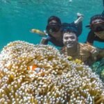 Pulau Badalu, Keindahan Terumbu Karang yang Masih Terjaga di Pesisir Sumatera Utara