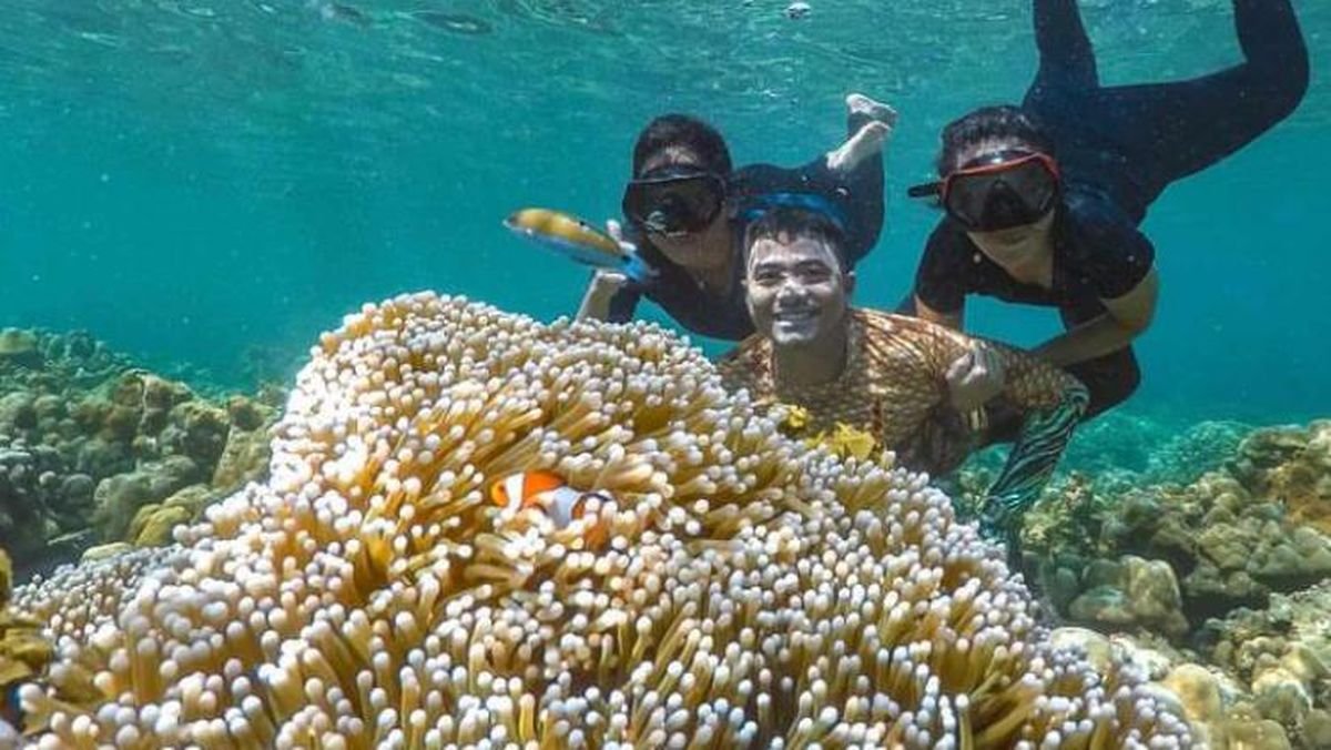Pulau Badalu, Keindahan Terumbu Karang yang Masih Terjaga di Pesisir Sumatera Utara