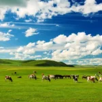 Wisata di Mongolia, Negeri Padang Rumput Luas yang Membuat Langit Terasa Lebih Dekat