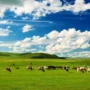 Wisata di Mongolia, Negeri Padang Rumput Luas yang Membuat Langit Terasa Lebih Dekat