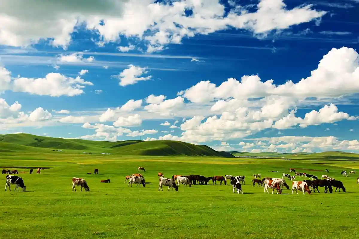 Wisata di Mongolia, Negeri Padang Rumput Luas yang Membuat Langit Terasa Lebih Dekat